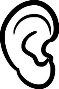 Ucho zewnętrzne - Audisin Maxi Ear Sound